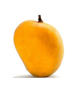 Alpanso Mango